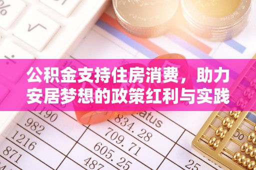 高埗公积金支持住房消费，助力安居梦想的政策红利与实践
