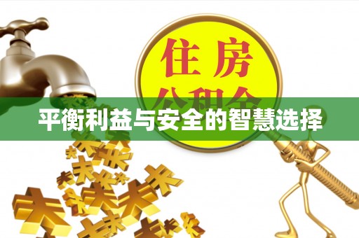 高埗平衡利益与安全的智慧选择