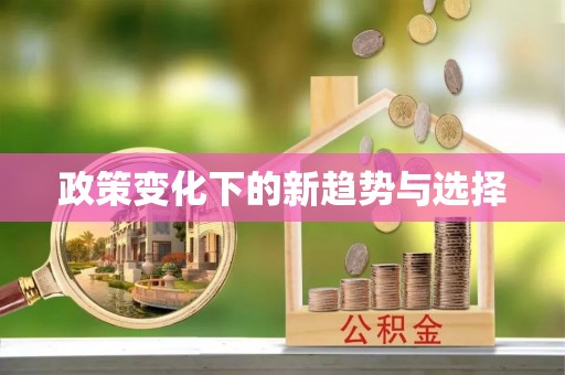 高埗政策变化下的新趋势与选择