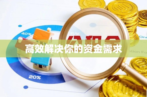 高埗高效解决你的资金需求