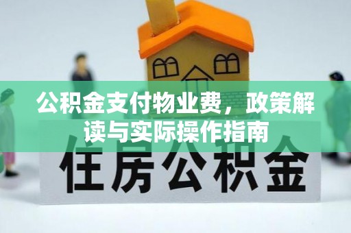 高埗公积金支付物业费，政策解读与实际操作指南