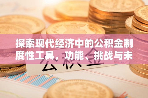 高埗探索现代经济中的公积金制度性工具，功能、挑战与未来