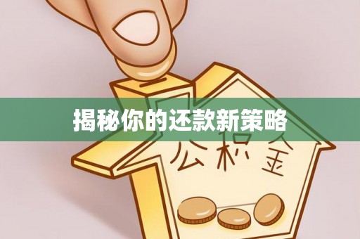 高埗揭秘你的还款新策略