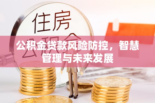 高埗公积金贷款风险防控，智慧管理与未来发展