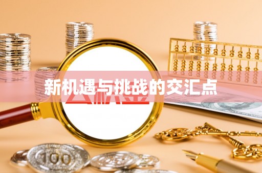 高埗新机遇与挑战的交汇点