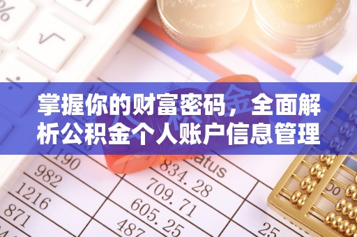 高埗掌握你的财富密码，全面解析公积金个人账户信息管理与优化