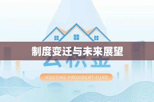 高埗制度变迁与未来展望