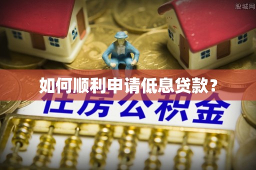 高埗如何顺利申请低息贷款？