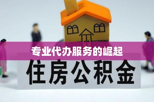 高埗专业代办服务的崛起