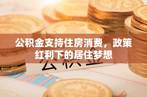 高埗公积金支持住房消费，政策红利下的居住梦想