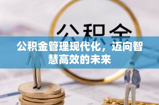 高埗公积金管理现代化，迈向智慧高效的未来