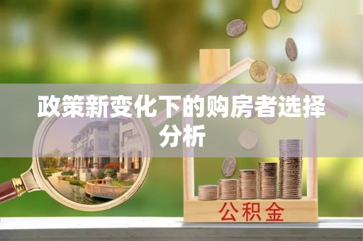 高埗政策新变化下的购房者选择分析