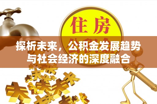 高埗探析未来，公积金发展趋势与社会经济的深度融合