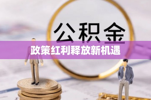 高埗政策红利释放新机遇