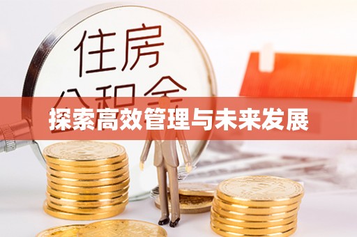高埗探索高效管理与未来发展