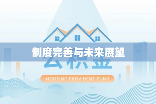 高埗制度完善与未来展望