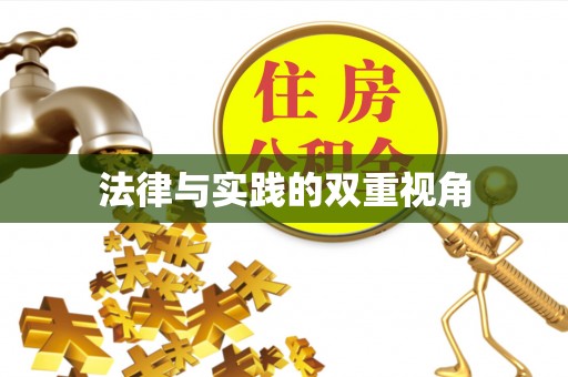 高埗法律与实践的双重视角
