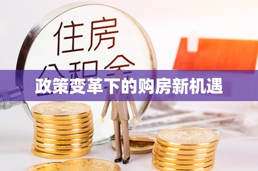 高埗政策变革下的购房新机遇