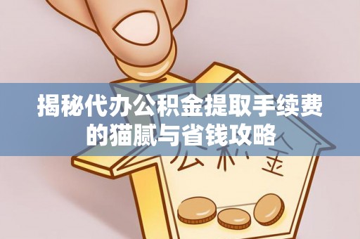 高埗揭秘代办公积金提取手续费的猫腻与省钱攻略