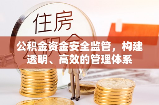 高埗公积金资金安全监管，构建透明、高效的管理体系