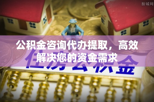 高埗公积金咨询代办提取，高效解决您的资金需求