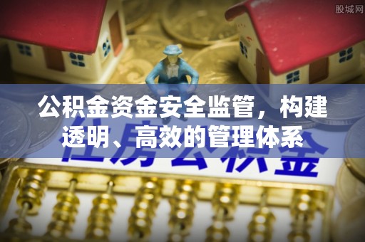 高埗公积金资金安全监管，构建透明、高效的管理体系