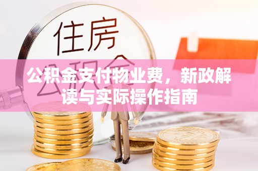高埗公积金支付物业费，新政解读与实际操作指南
