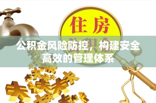 高埗公积金风险防控，构建安全高效的管理体系