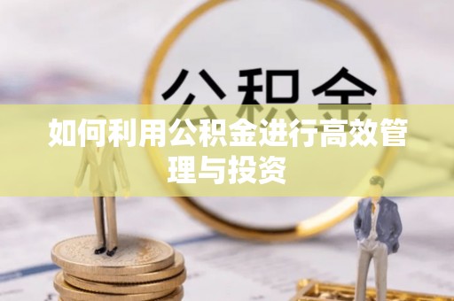 高埗如何利用公积金进行高效管理与投资