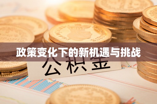 高埗政策变化下的新机遇与挑战