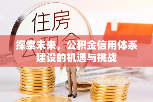 高埗探索未来，公积金信用体系建设的机遇与挑战