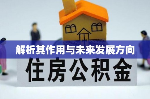 高埗解析其作用与未来发展方向