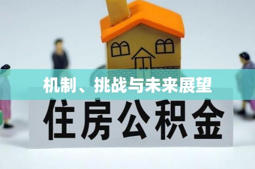 高埗机制、挑战与未来展望