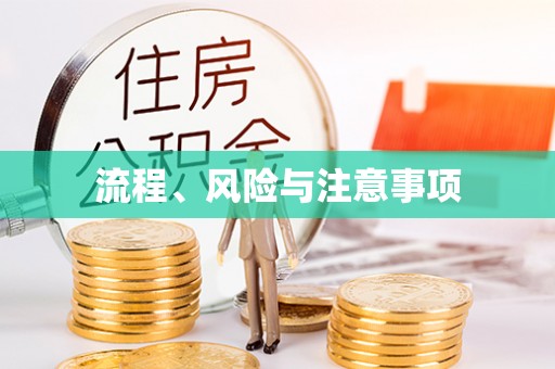 高埗流程、风险与注意事项
