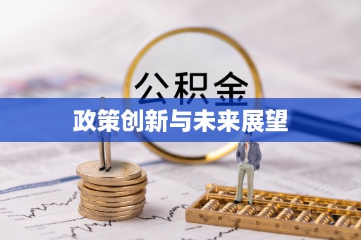 高埗政策创新与未来展望